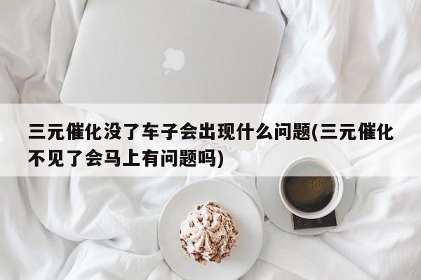三元催化没了车子会出现什么问题(三元催化不见了会马上有问题吗)