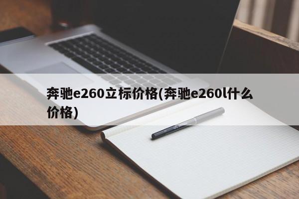 奔驰e260立标价格(奔驰e260l什么价格)