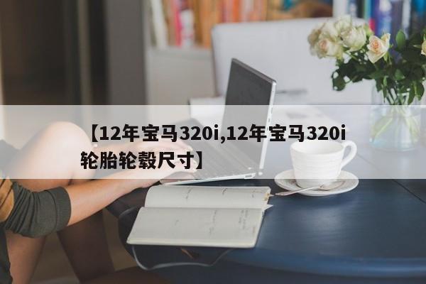 【12年宝马320i,12年宝马320i轮胎轮毂尺寸】