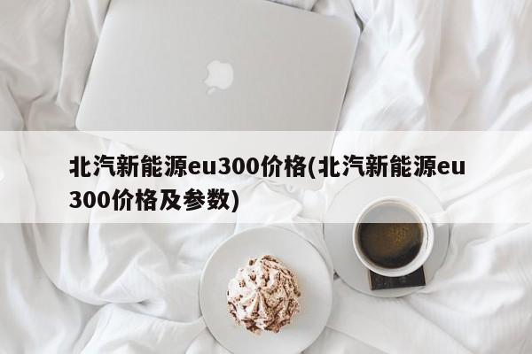 北汽新能源eu300价格(北汽新能源eu300价格及参数)