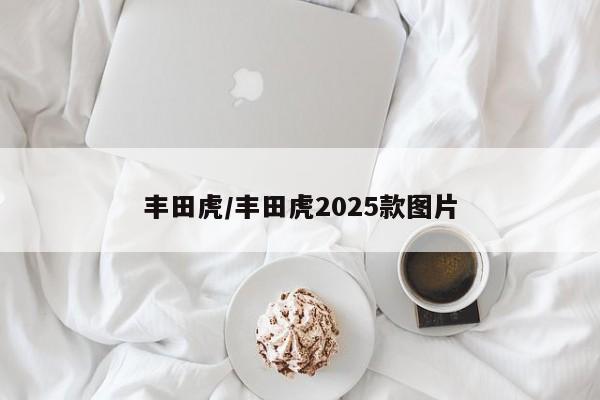 丰田虎/丰田虎2025款图片
