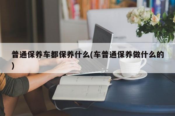 普通保养车都保养什么(车普通保养做什么的)
