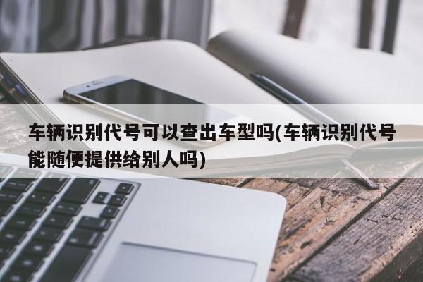 车辆识别代号可以查出车型吗(车辆识别代号能随便提供给别人吗)